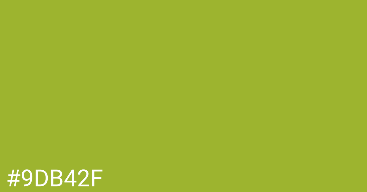 Hex color #9db42f graphic