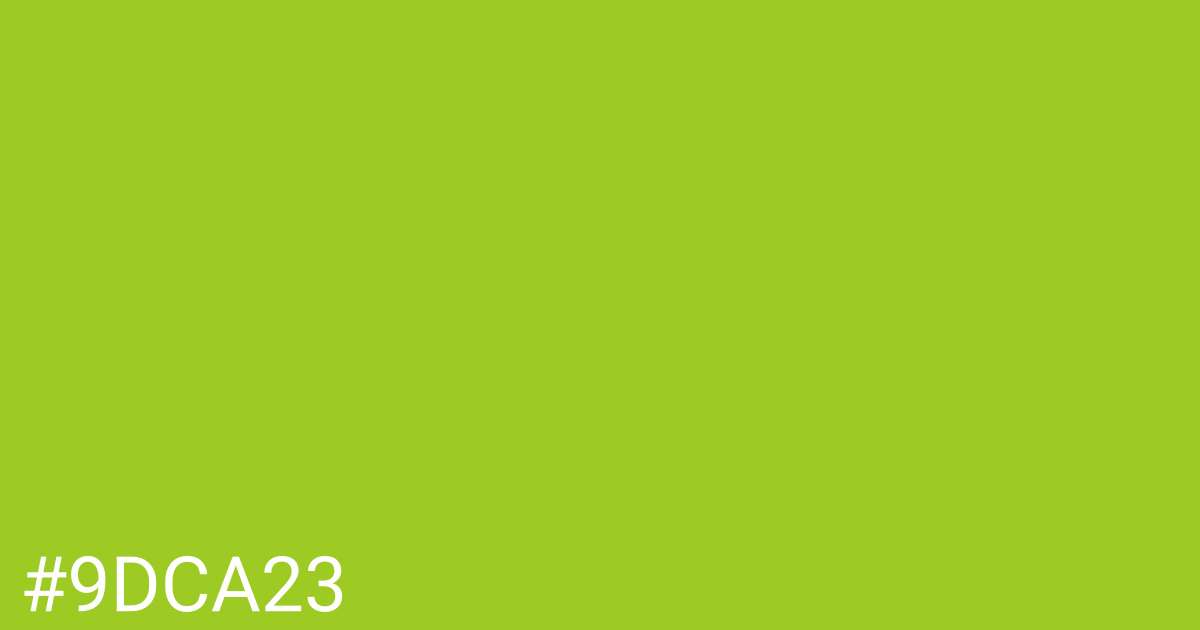 Hex color #9dca23 graphic