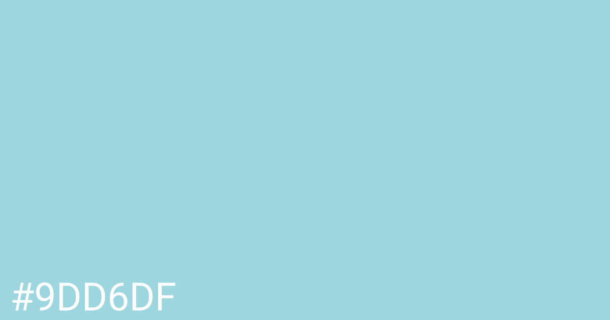 Hex color #9dd6df graphic