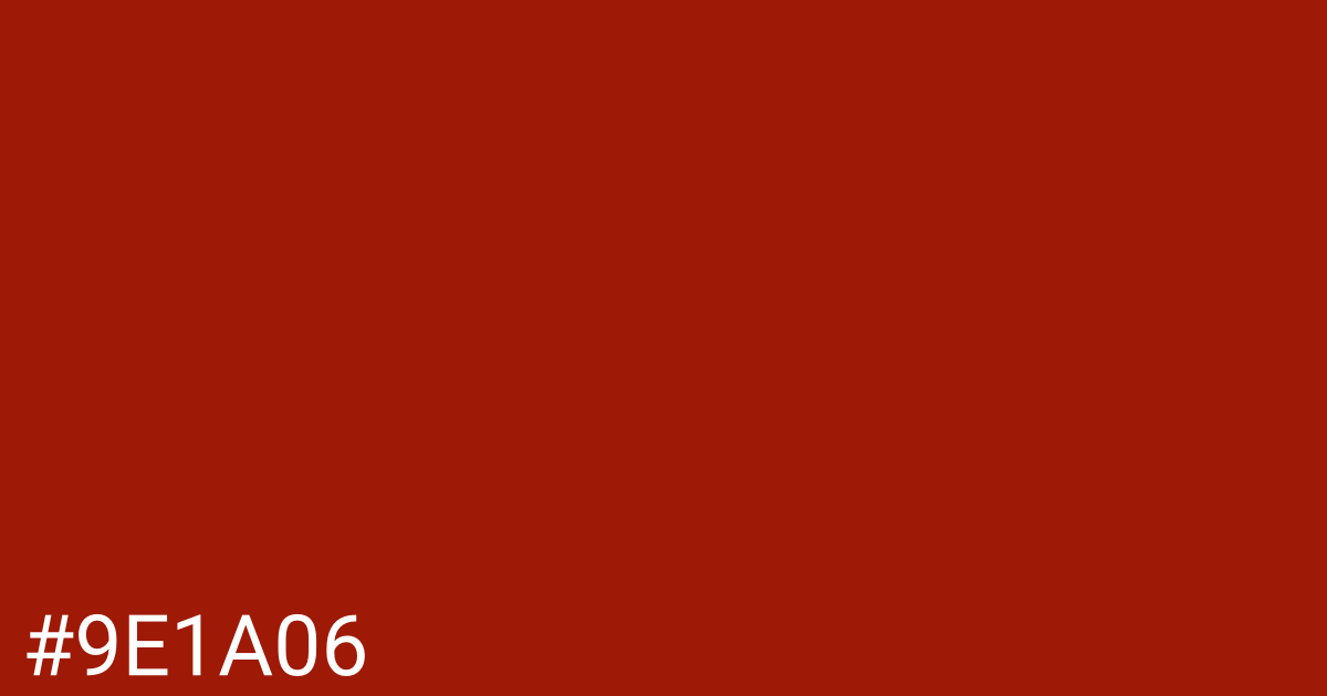 Hex color #9e1a06 graphic