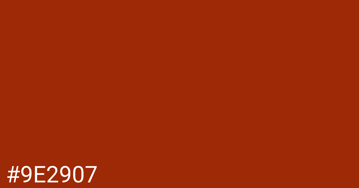 Hex color #9e2907 graphic