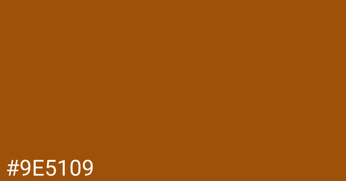 Hex color #9e5109 graphic