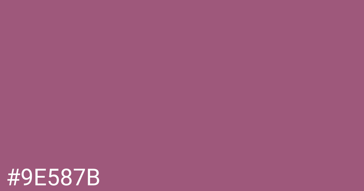 Hex color #9e587b graphic