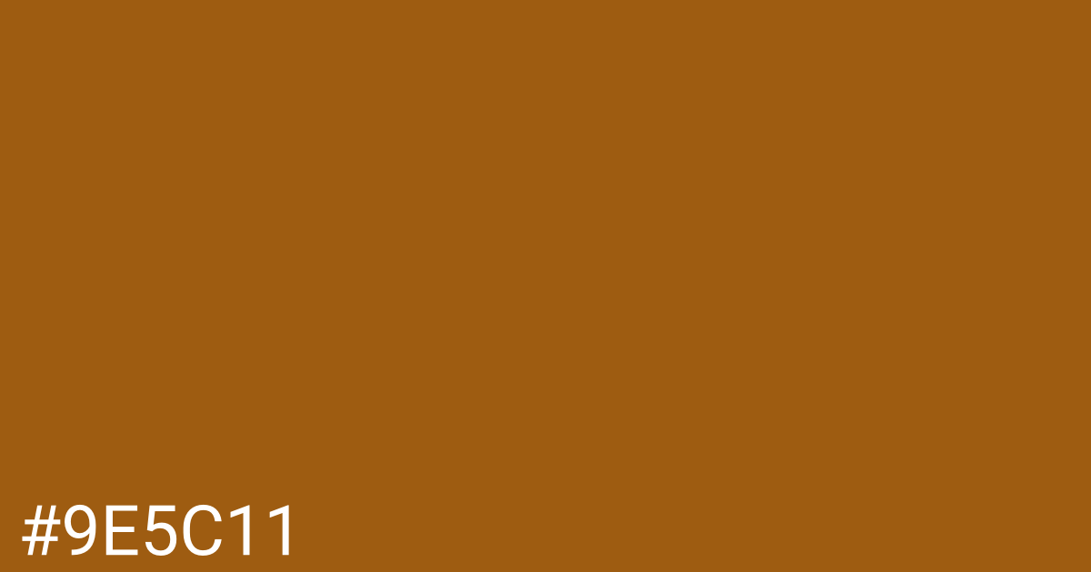 Hex color #9e5c11 graphic