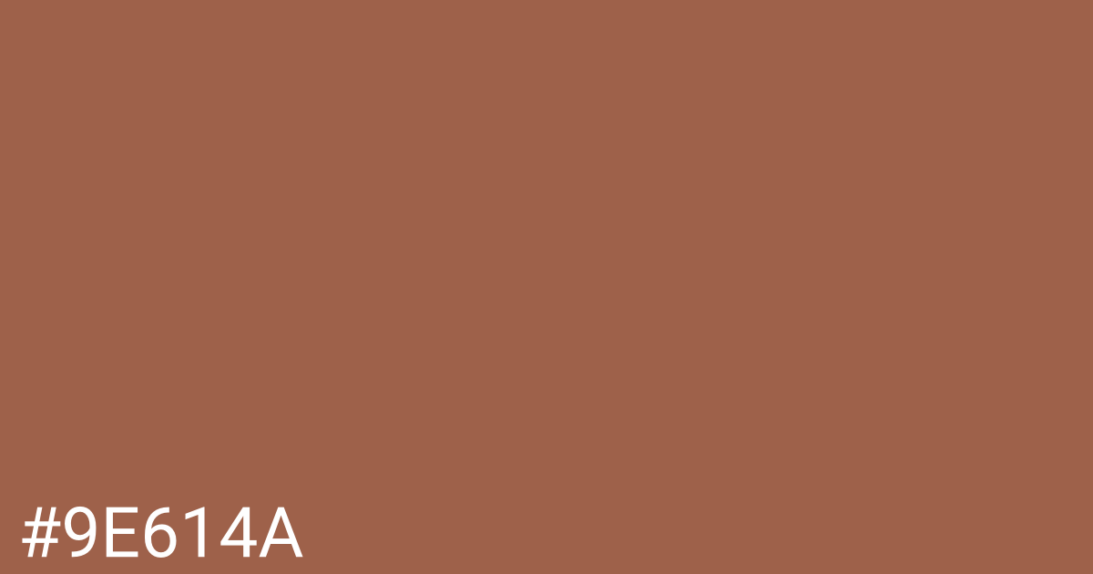 Hex color #9e614a graphic