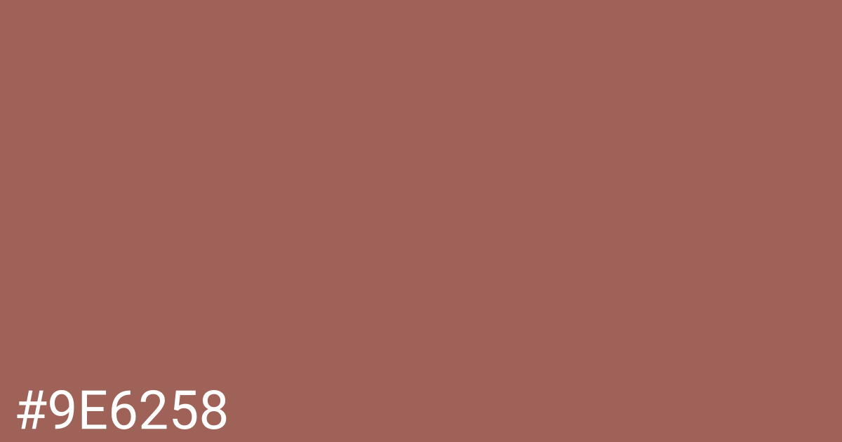 Hex color #9e6258 graphic