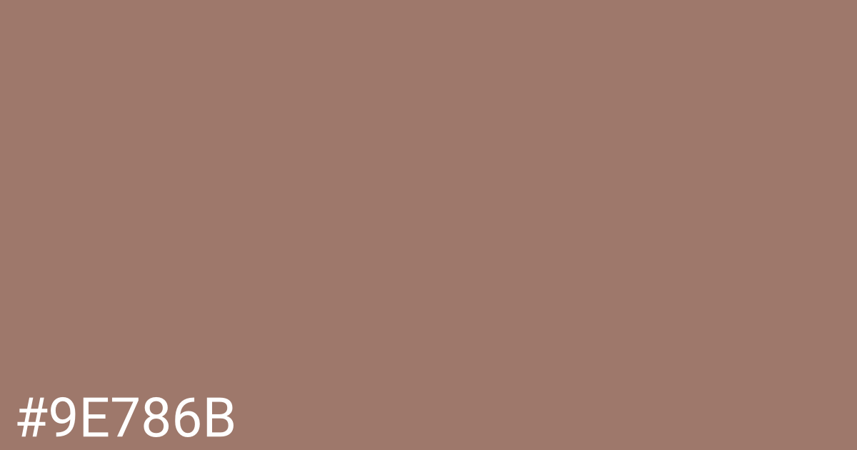 Hex color #9e786b graphic