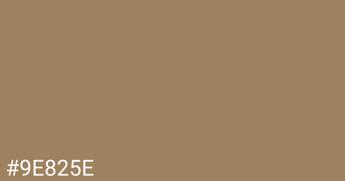 Hex color #9e825e graphic