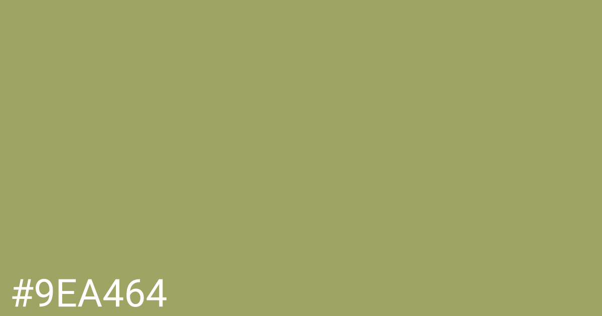 Hex color #9ea464 graphic