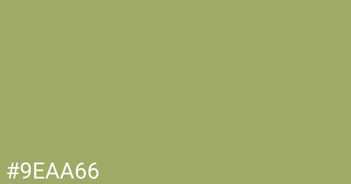 Hex color #9eaa66 graphic