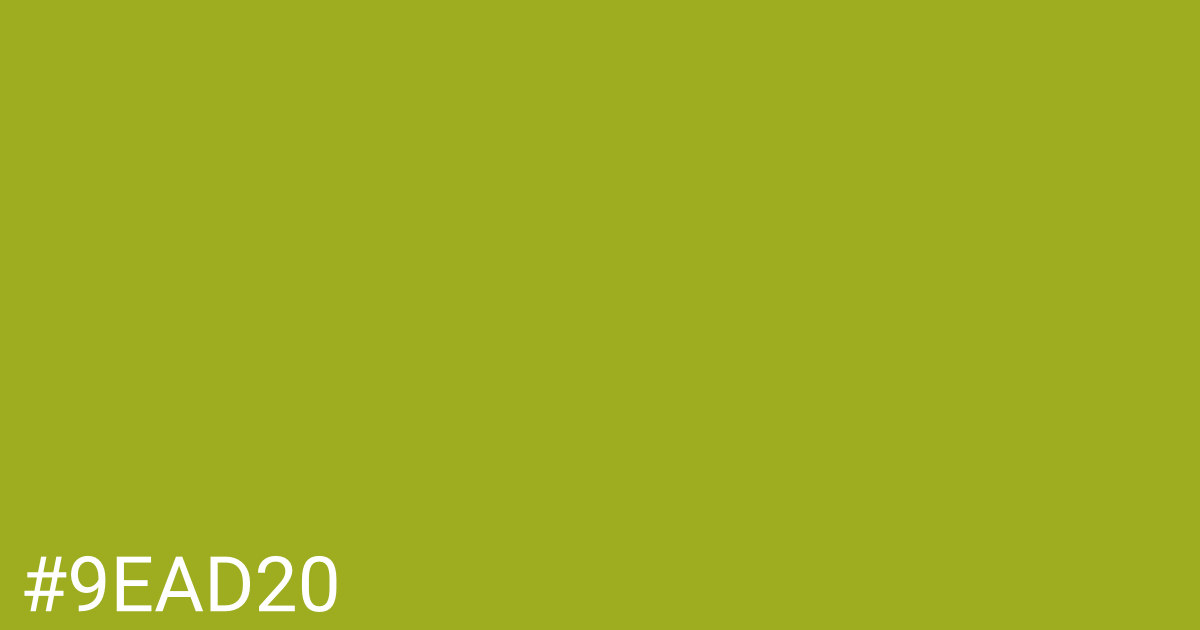Hex color #9ead20 graphic
