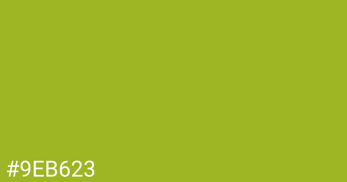Hex color #9eb623 graphic