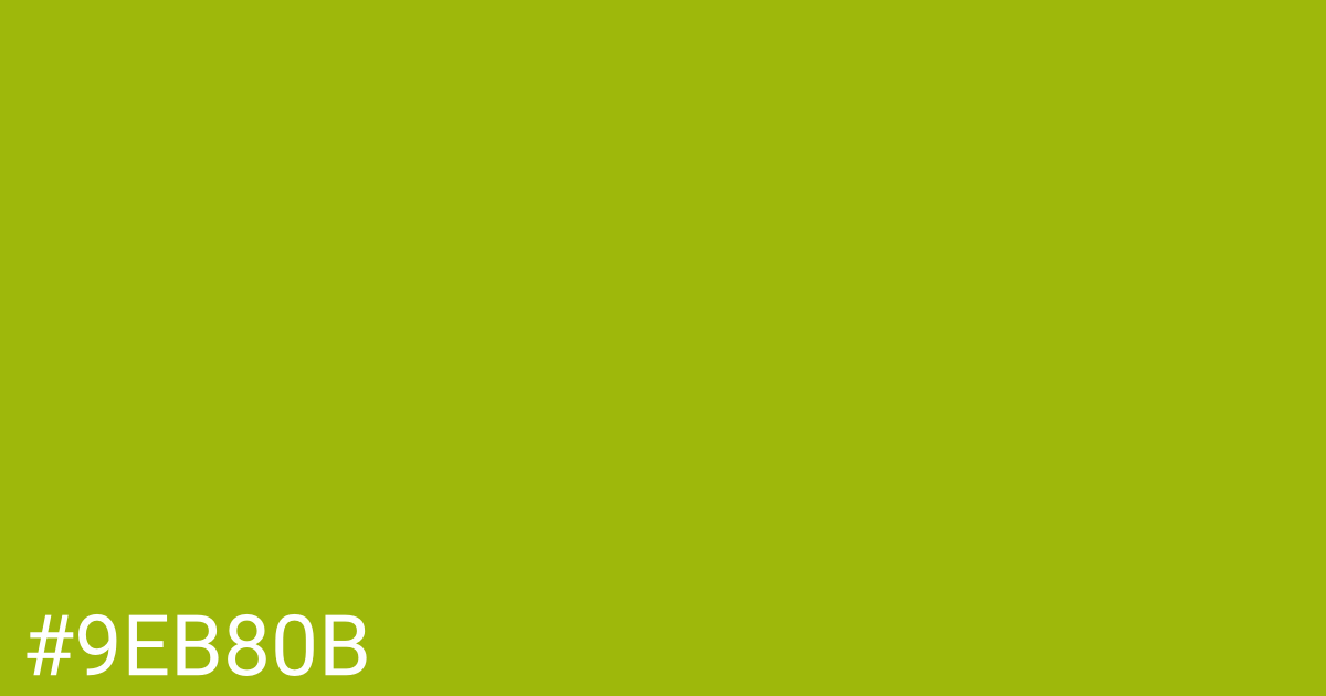 Hex color #9eb80b graphic