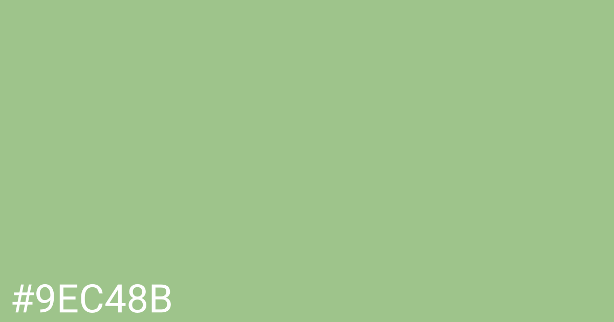 Hex color #9ec48b graphic