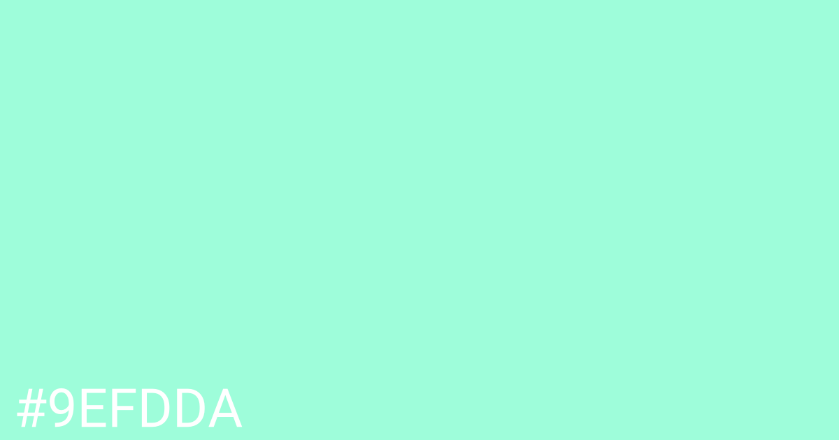 Hex color #9efdda graphic