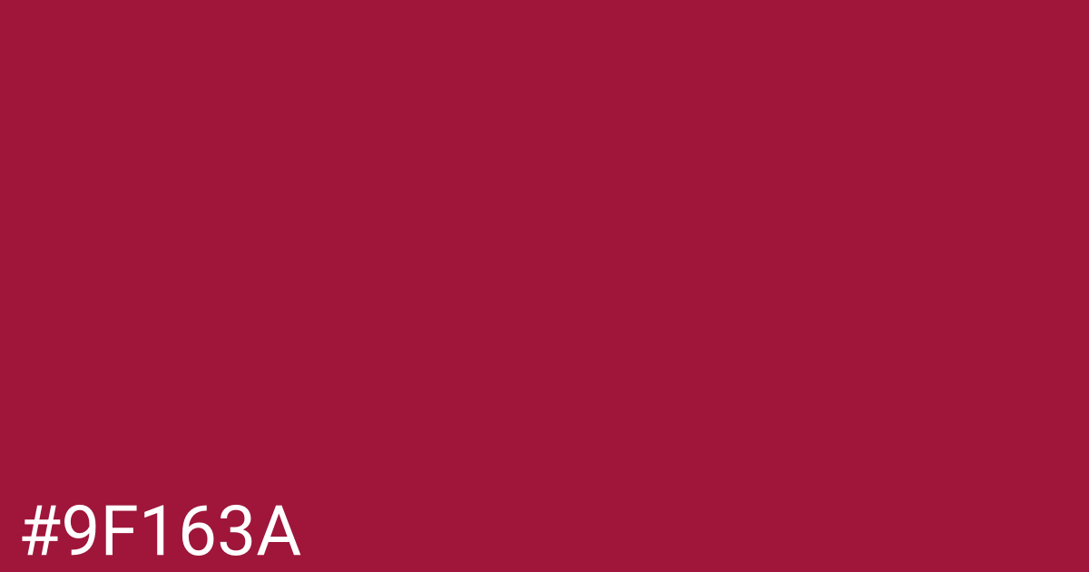 Hex color #9f163a graphic