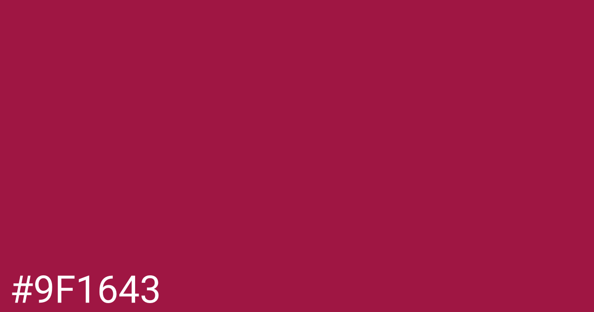 Hex color #9f1643 graphic