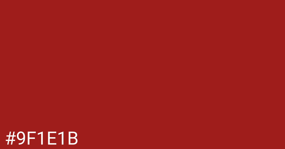 Hex color #9f1e1b graphic