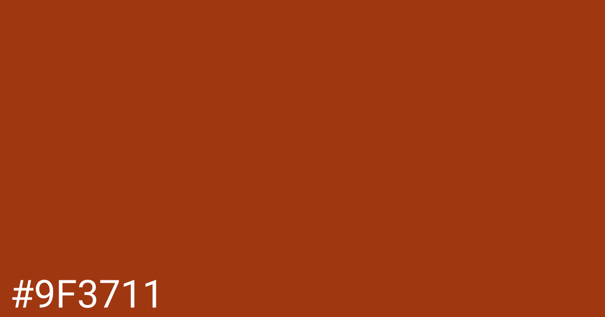 Hex color #9f3711 graphic