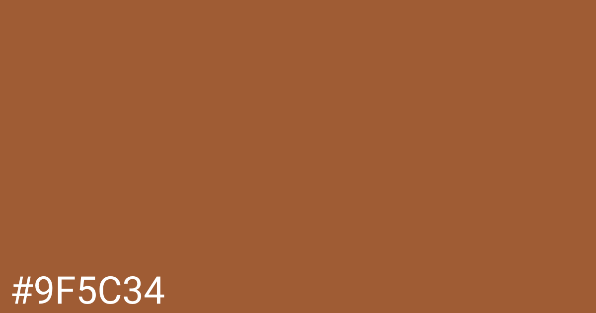Hex color #9f5c34 graphic