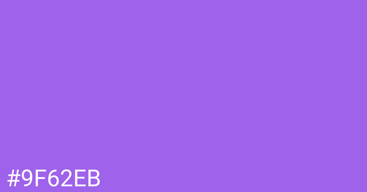 Hex color #9f62eb graphic