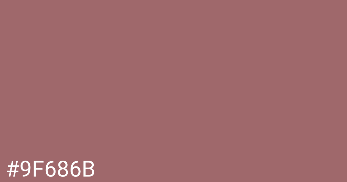 Hex color #9f686b graphic