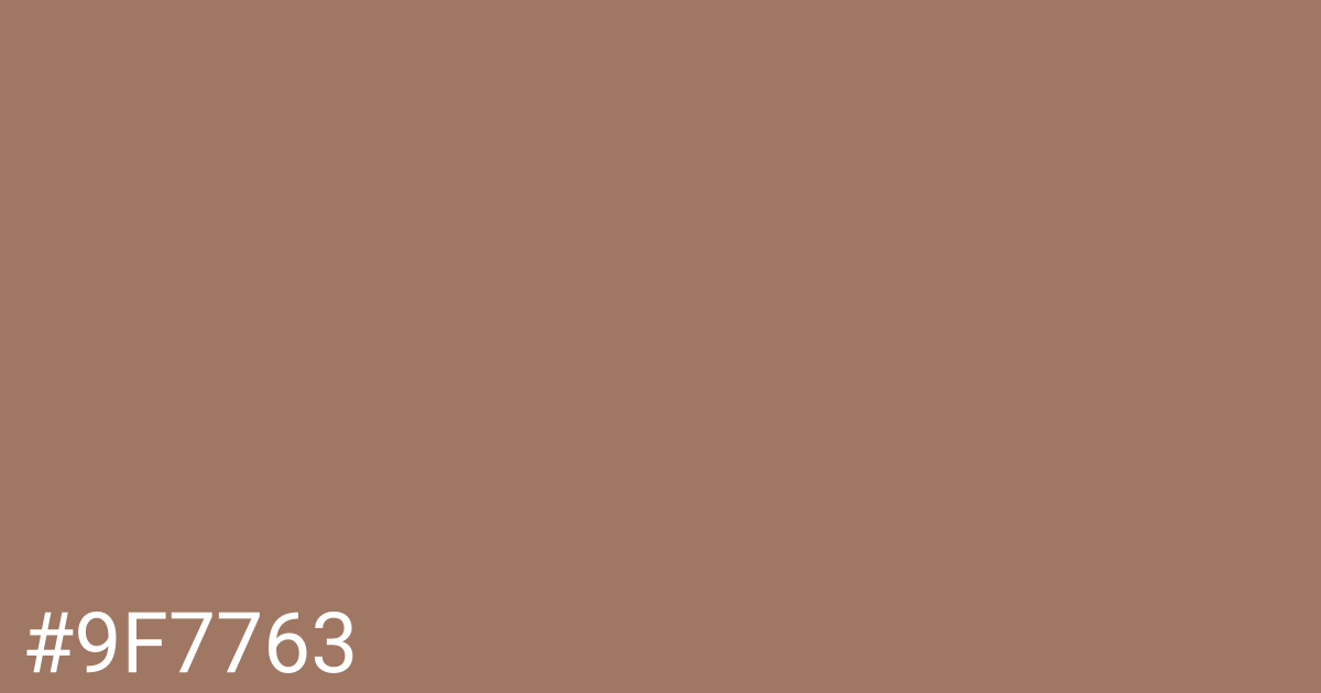 Hex color #9f7763 graphic