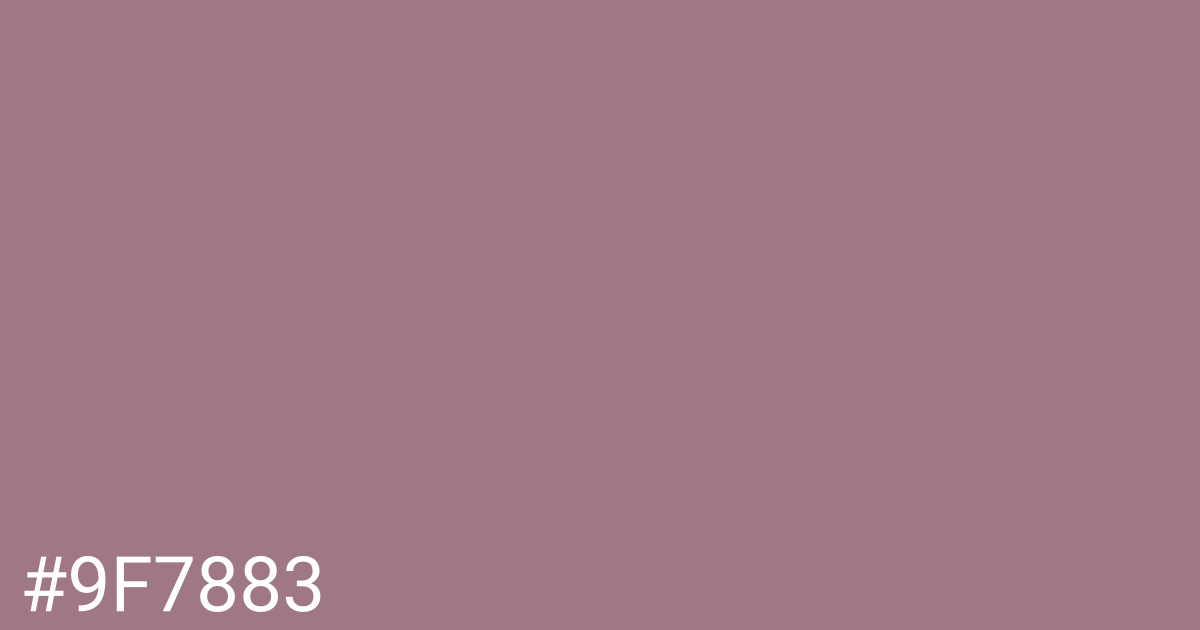 Hex color #9f7883 graphic