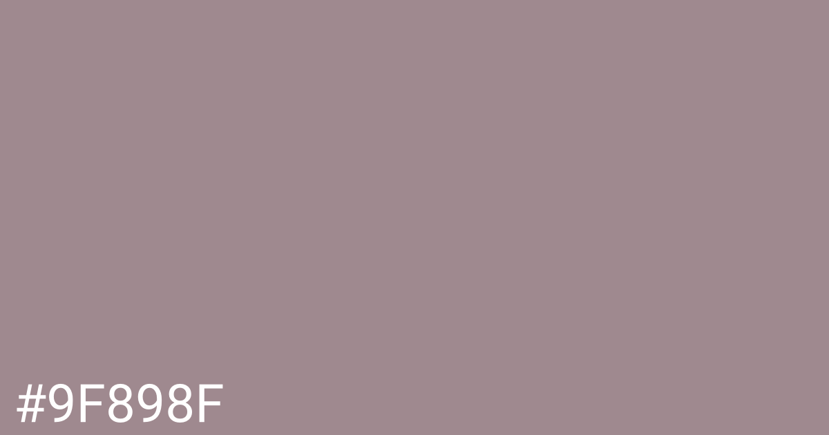 Hex color #9f898f graphic