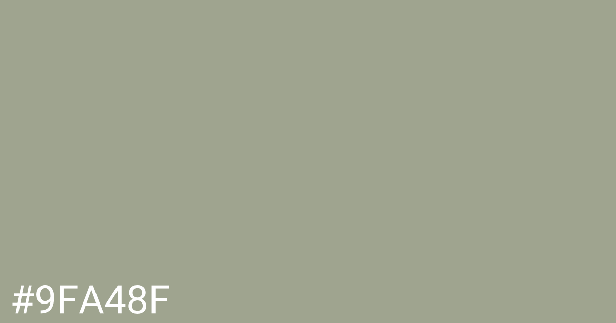 Hex color #9fa48f graphic