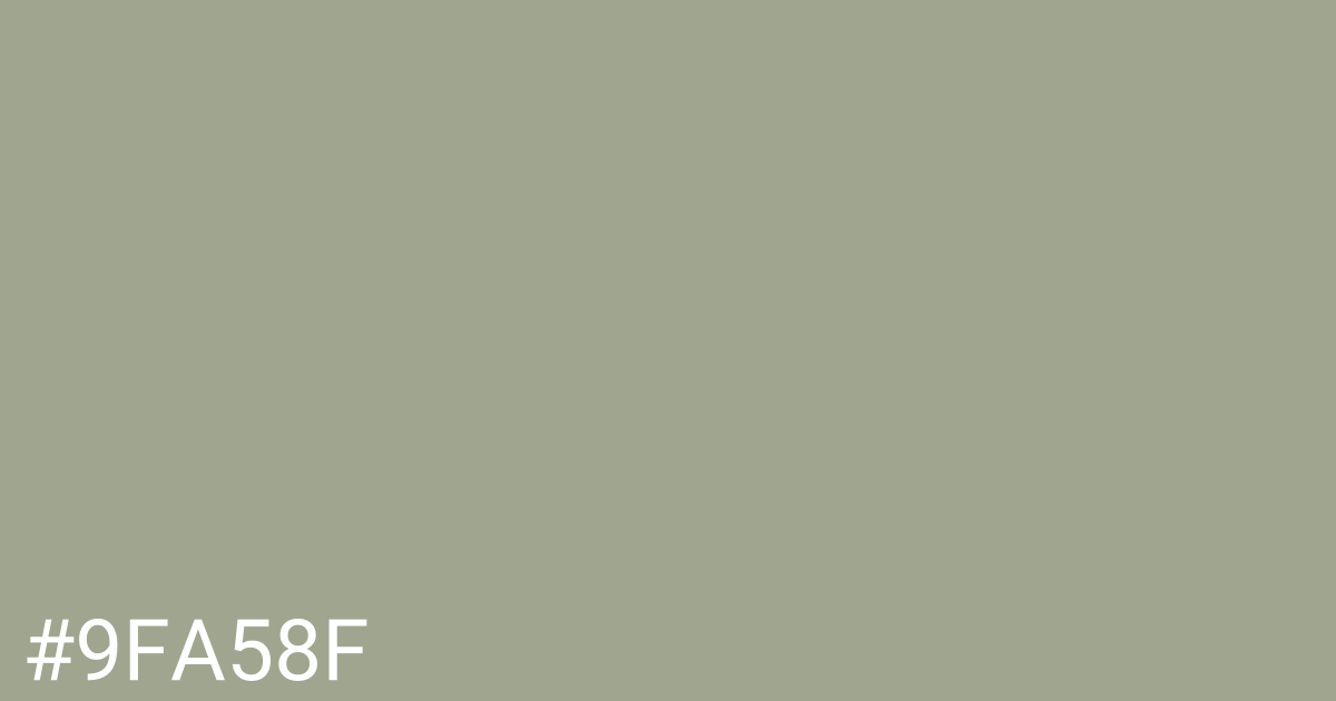 Hex color #9fa58f graphic