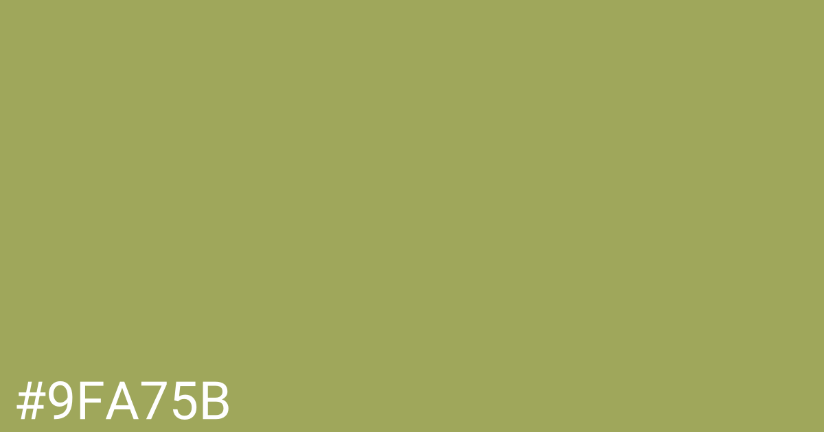 Hex color #9fa75b graphic
