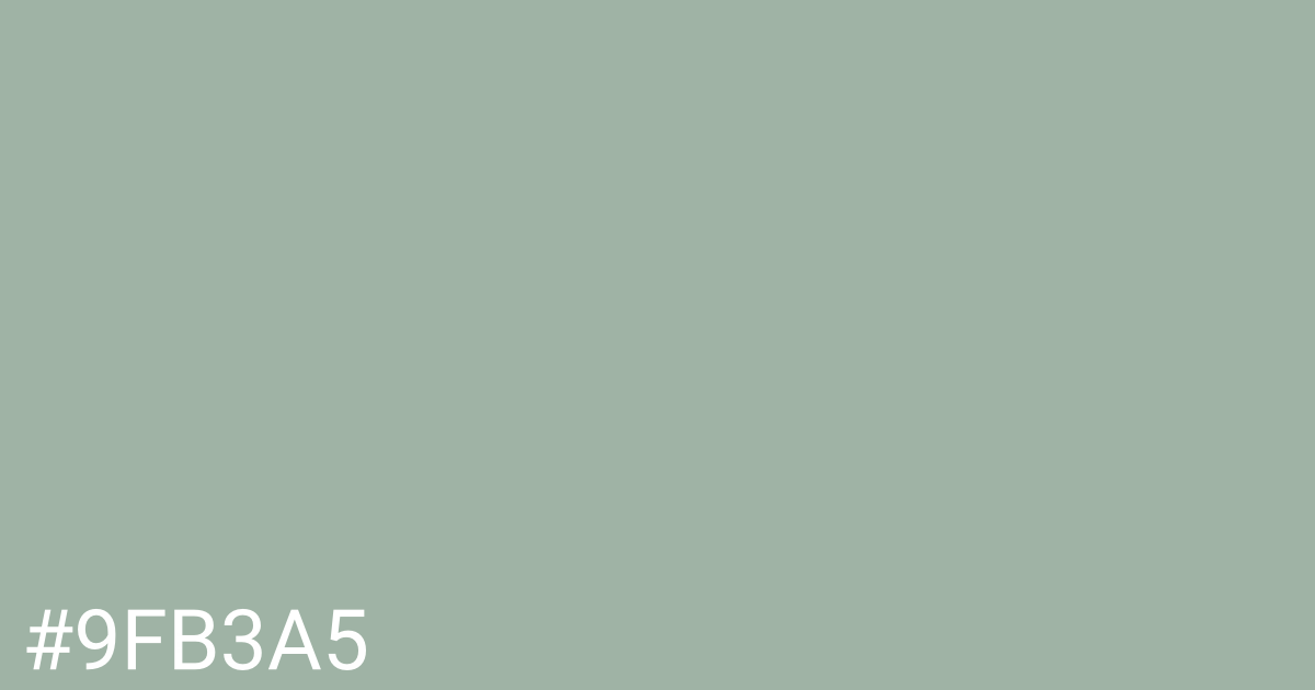 Hex color #9fb3a5 graphic