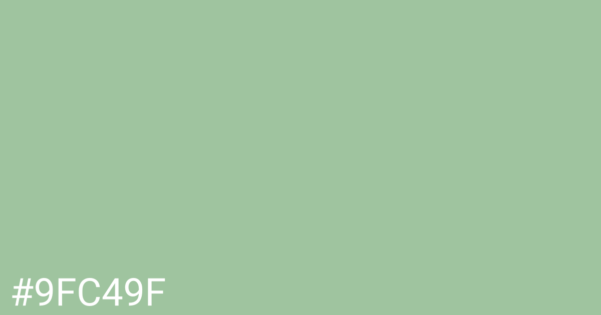 Hex color #9fc49f graphic