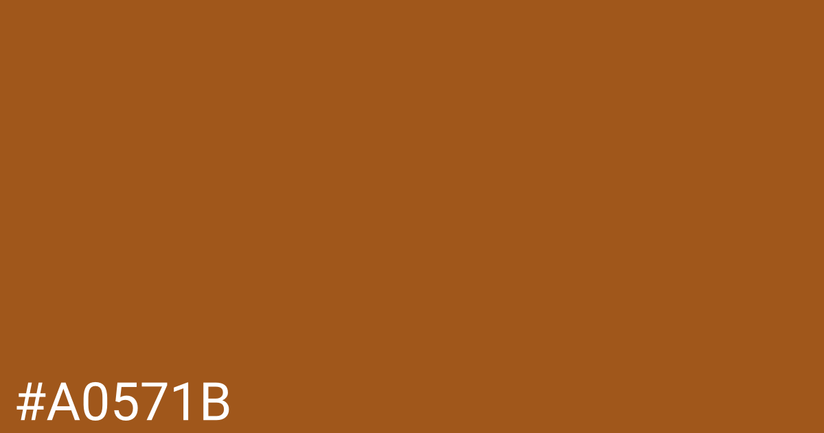 Hex color #a0571b graphic