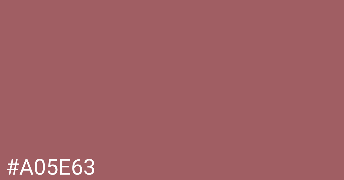 Hex color #a05e63 graphic