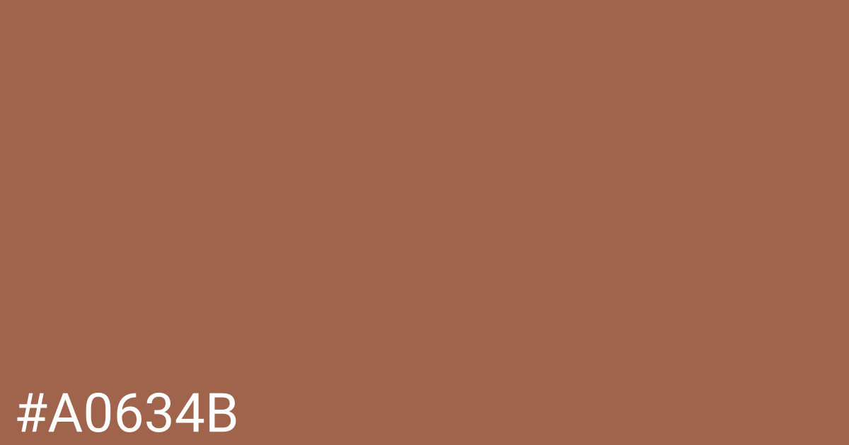 Hex color #a0634b graphic