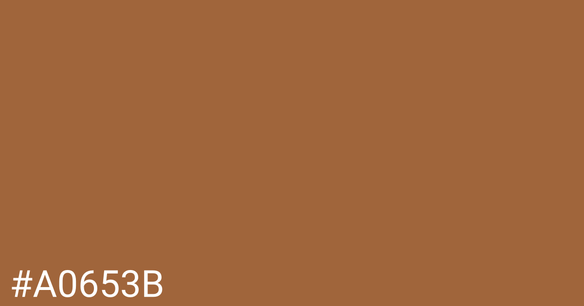 Hex color #a0653b graphic