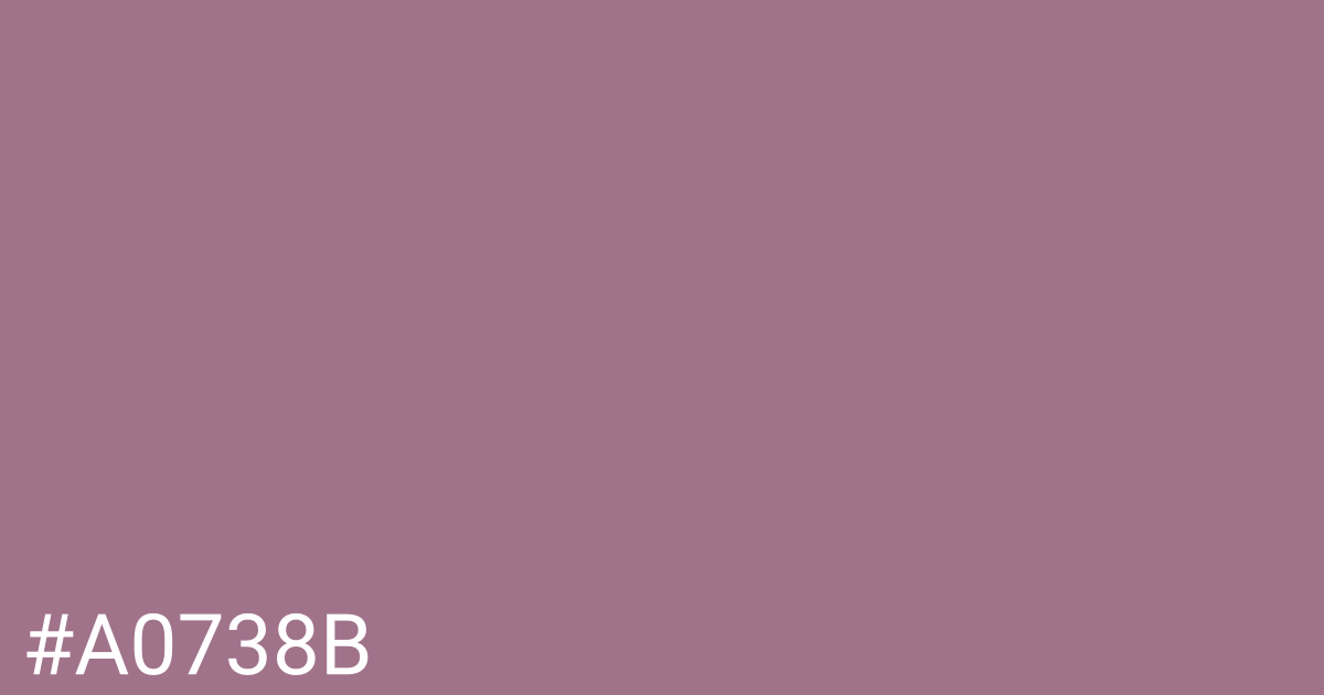 Hex color #a0738b graphic