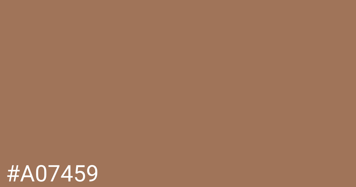 Hex color #a07459 graphic
