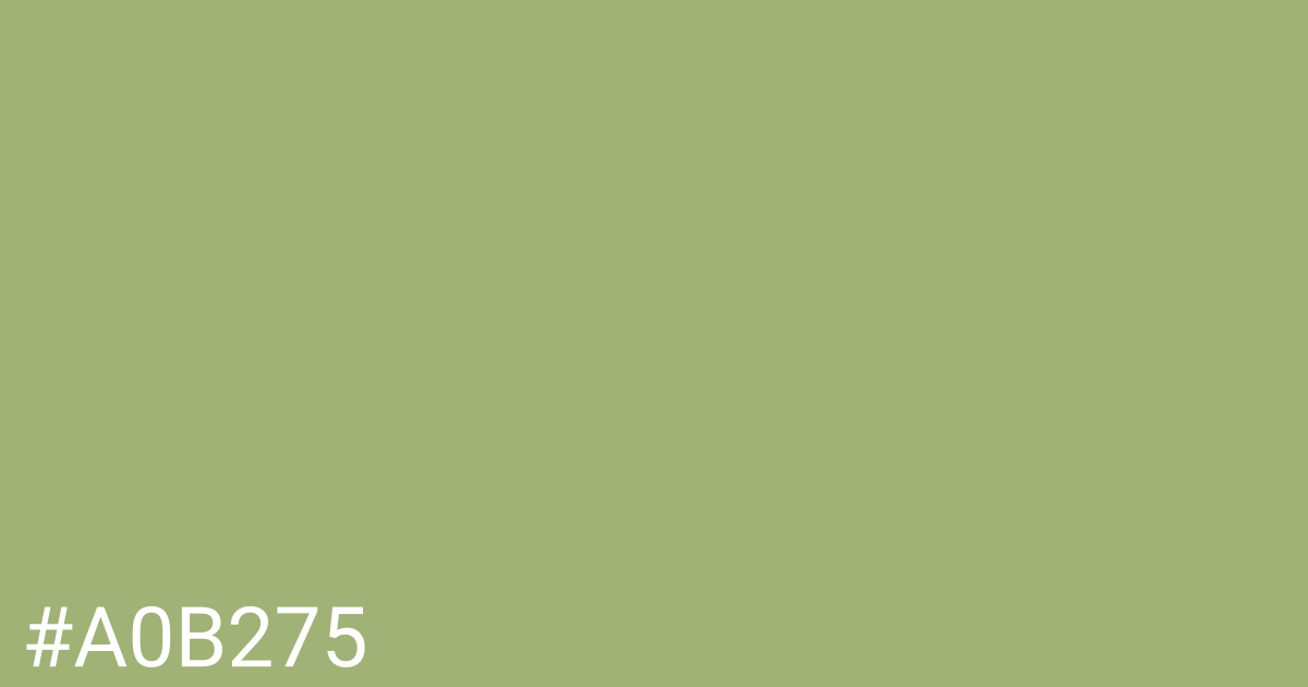 Hex color #a0b275 graphic