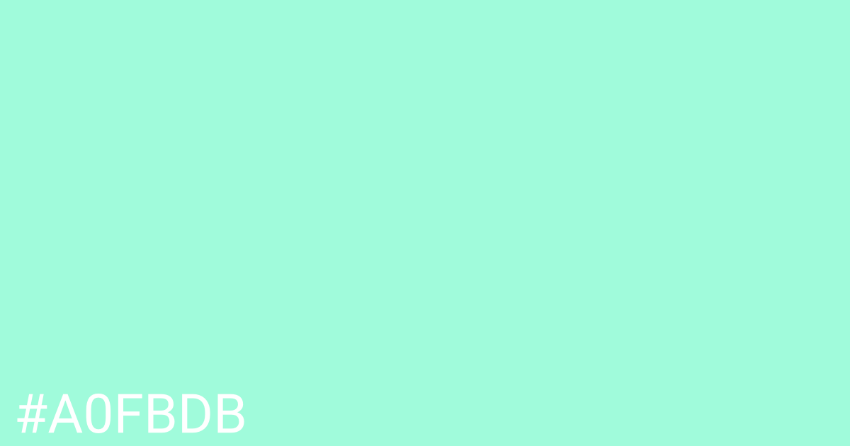 Hex color #a0fbdb graphic