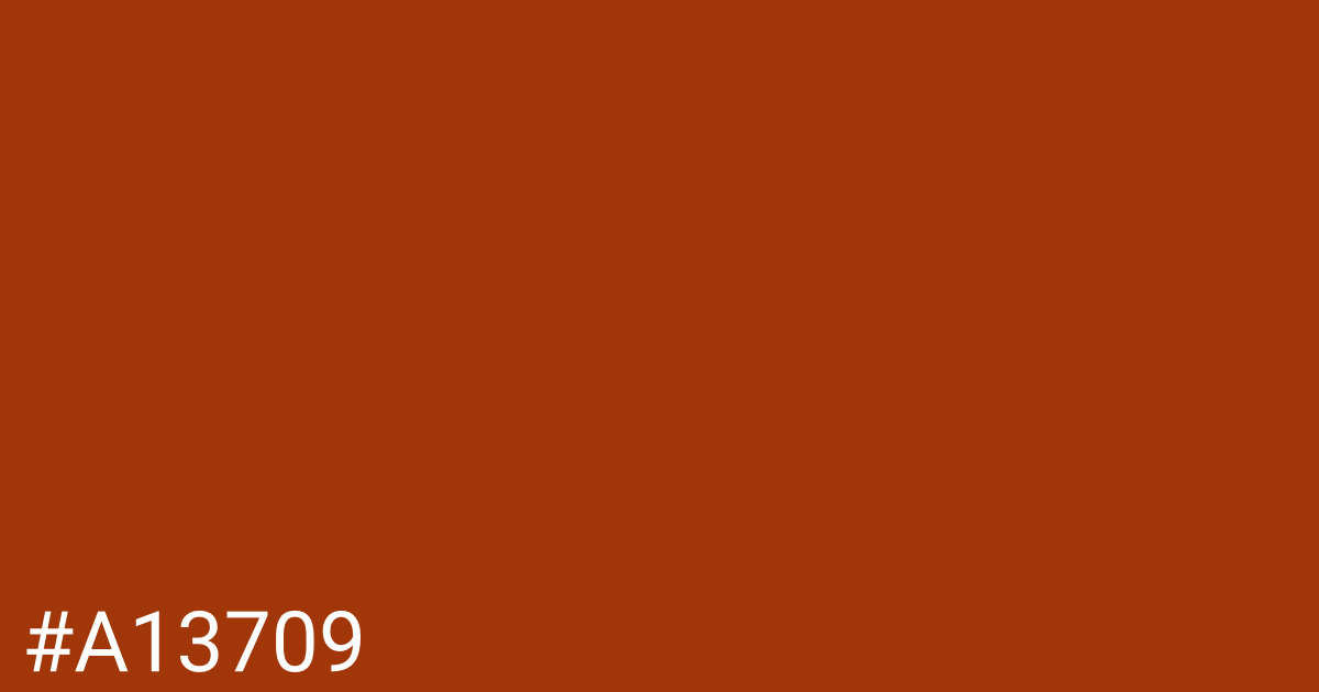 Hex color #a13709 graphic