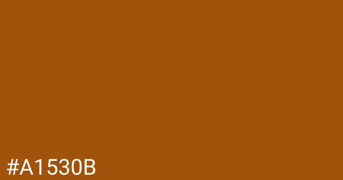 Hex color #a1530b graphic