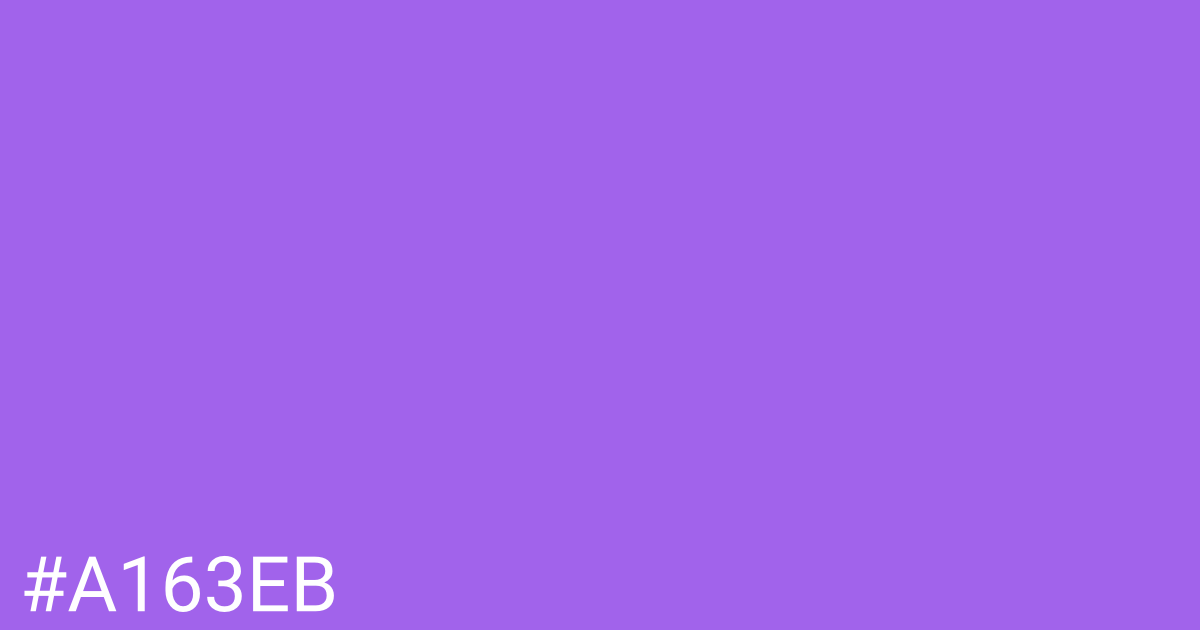 Hex color #a163eb graphic