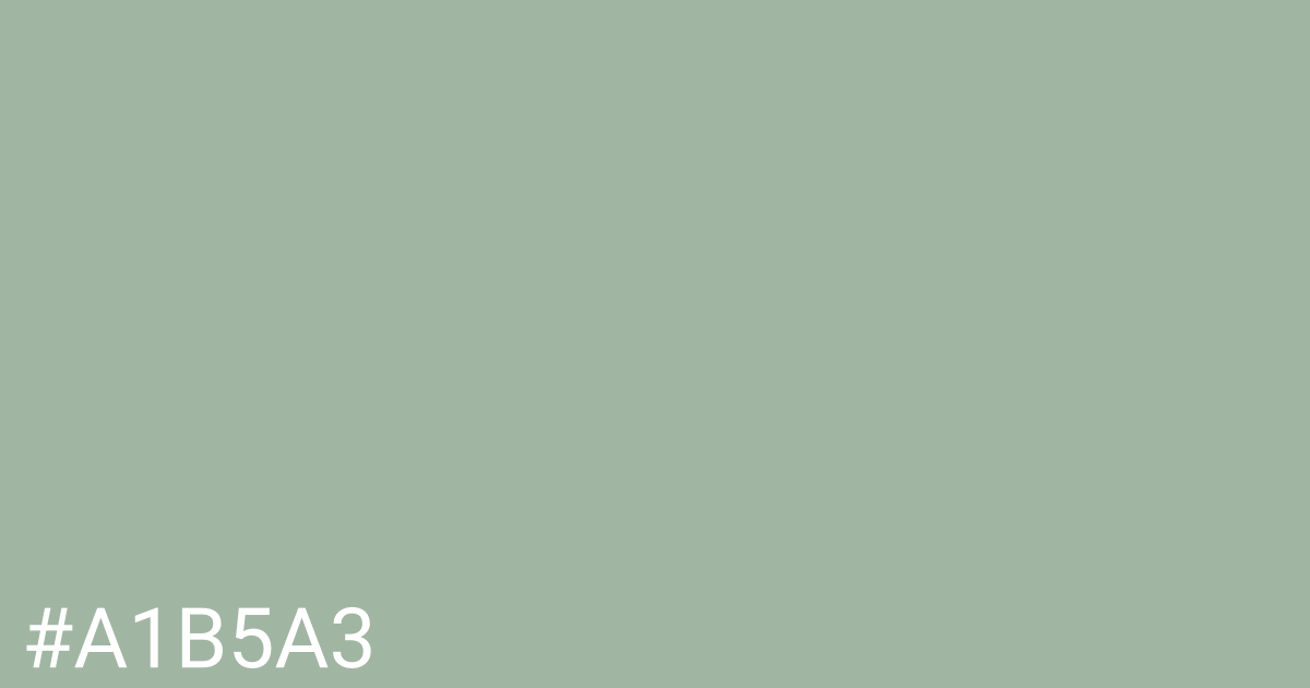 Hex color #a1b5a3 graphic