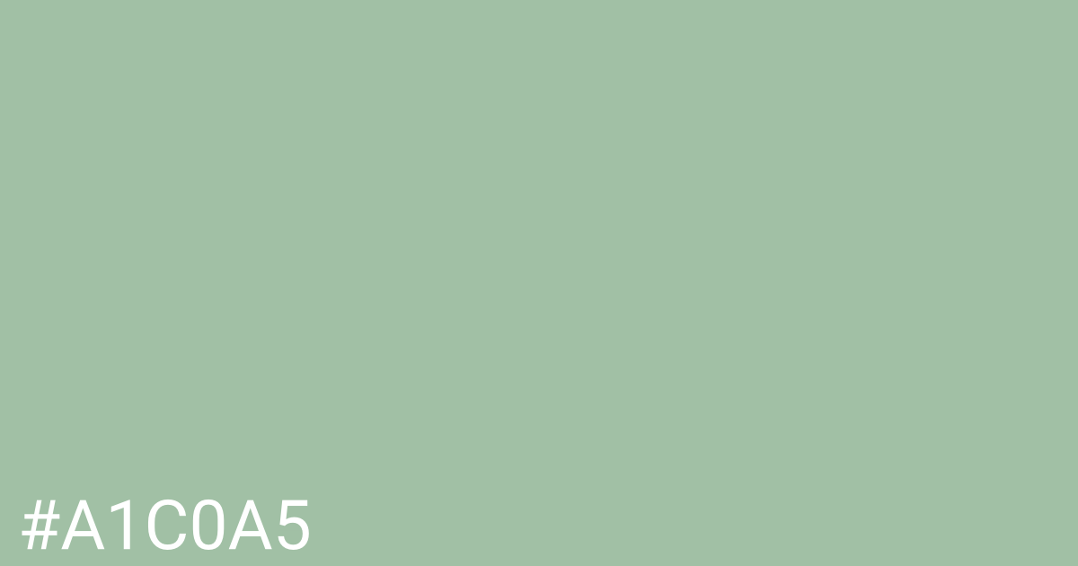 Hex color #a1c0a5 graphic