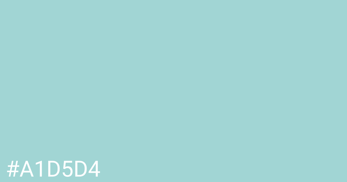 Hex color #a1d5d4 graphic