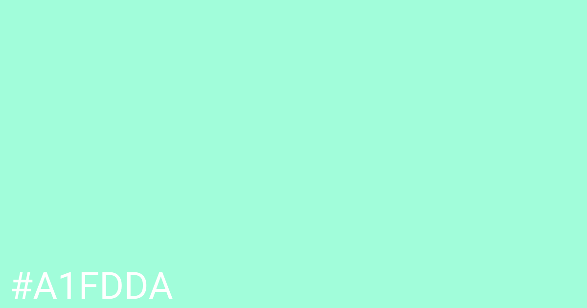 Hex color #a1fdda graphic