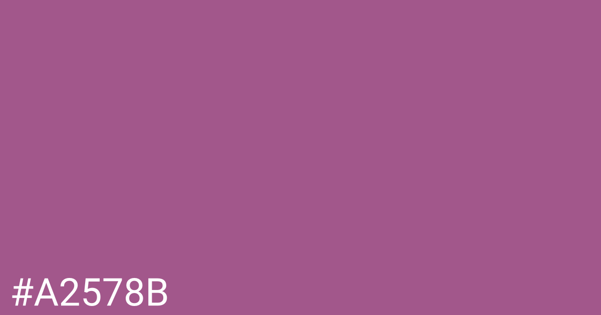 Hex color #a2578b graphic